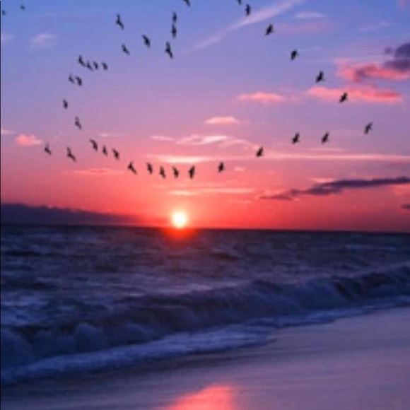 Meet your Posher, M - Picture 1 of 1